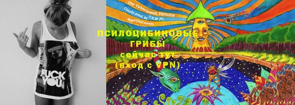MESCALINE Верея