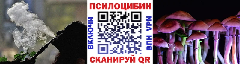 Псилоцибиновые грибы Psilocybe  Александровское 